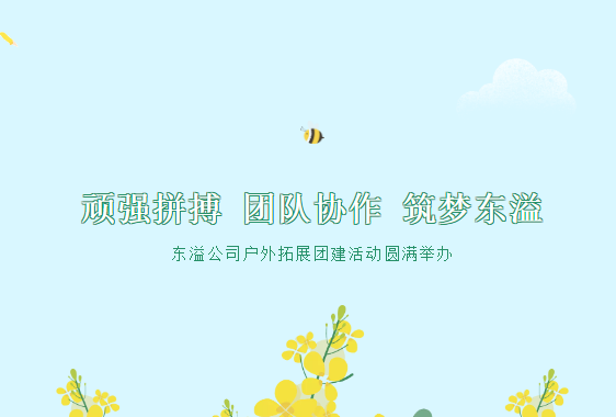 頑強(qiáng)拼搏 團(tuán)隊(duì)協(xié)作 筑夢(mèng)東溢 --東溢公司戶外拓展團(tuán)建活動(dòng)圓滿舉辦